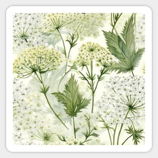 Watercolor Wildflower Queen Anne's Lace Pattern 1 Sticker